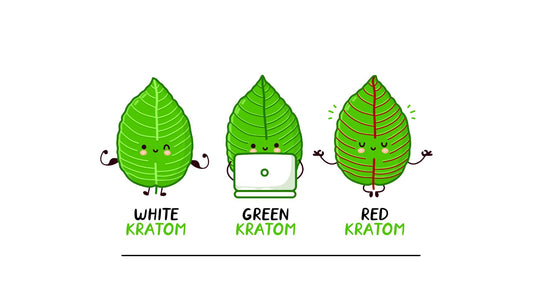 Kratom Strains