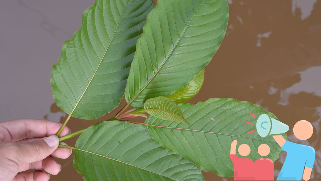 Kratom Advocacy